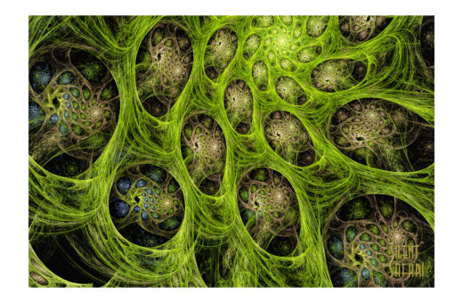Inside The Egg Chamber
