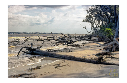 Sands Of Time