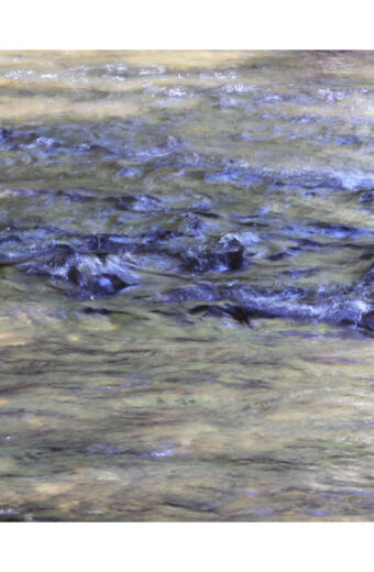 Familiar Waters