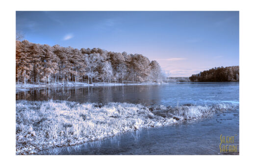On Frozen Pond