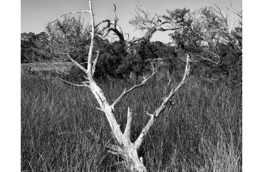 Stand Alone
