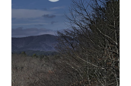 Moonlight Ridge