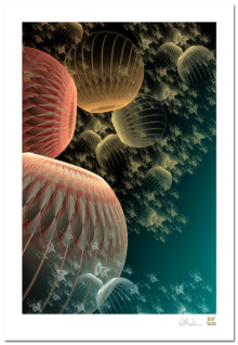 Discover Silent Safari Creative Light Imagery.