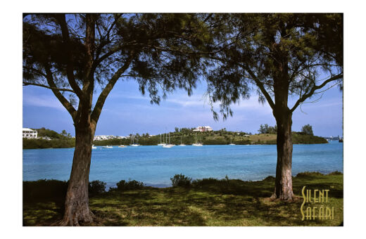 Stocks Harbour View
