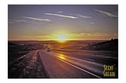 Roadside Daybreak