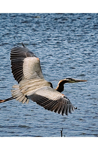 Final Approach