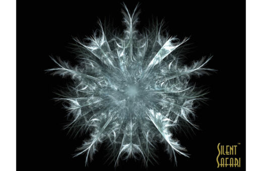 Feather Flake